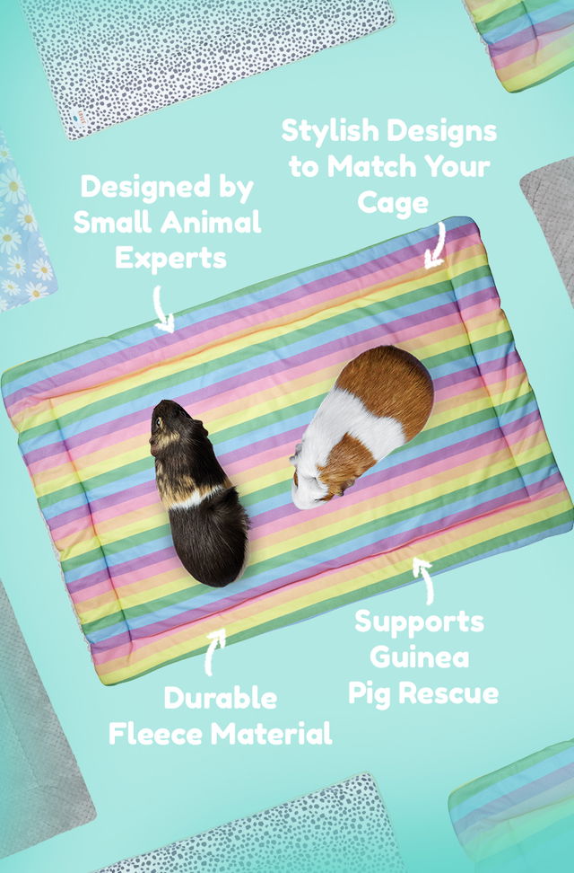 Fresh Look at Usa Fleece Award Winning Guinea Pig Liners