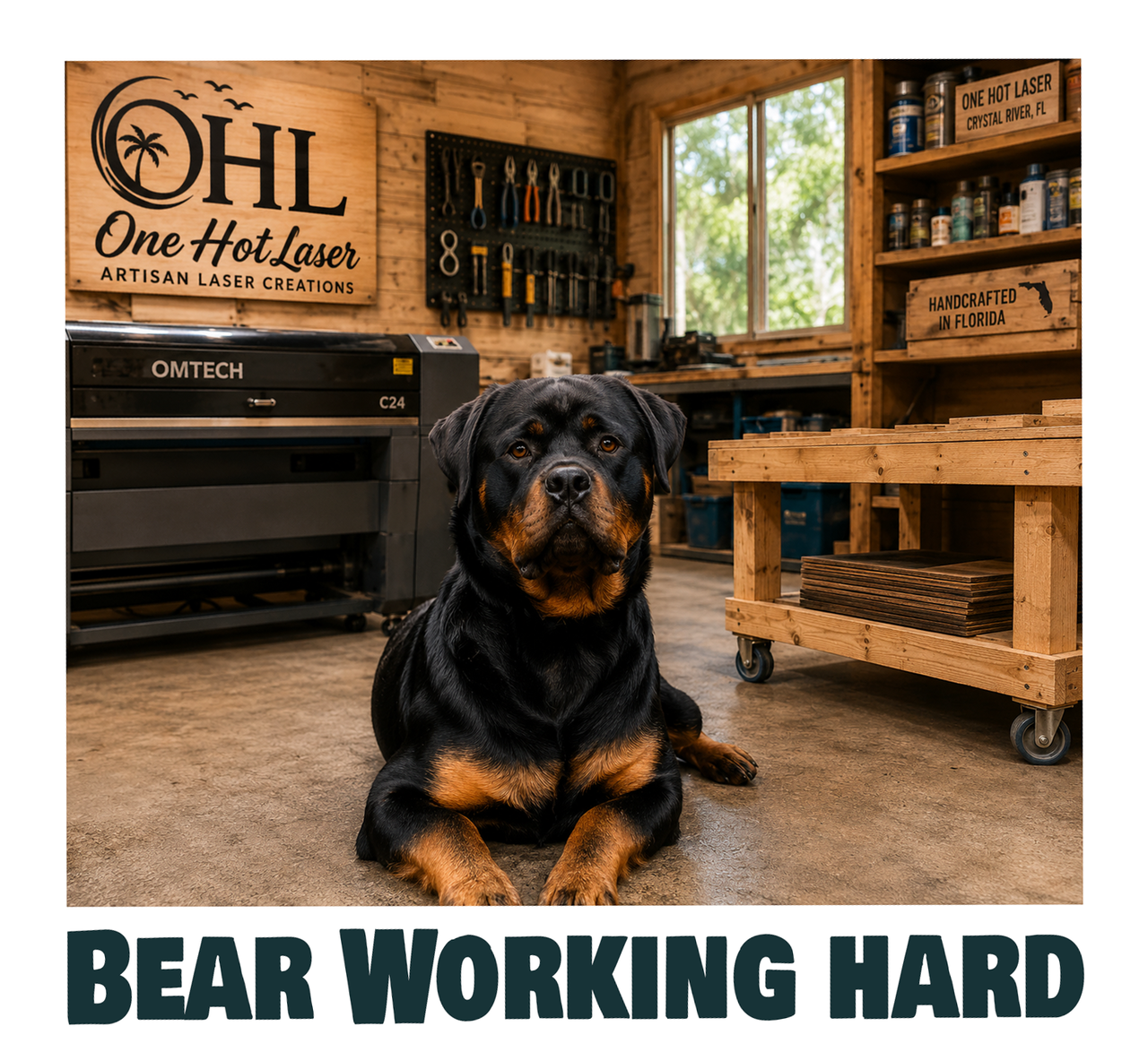Bear the shop dog keeping an eye on things.