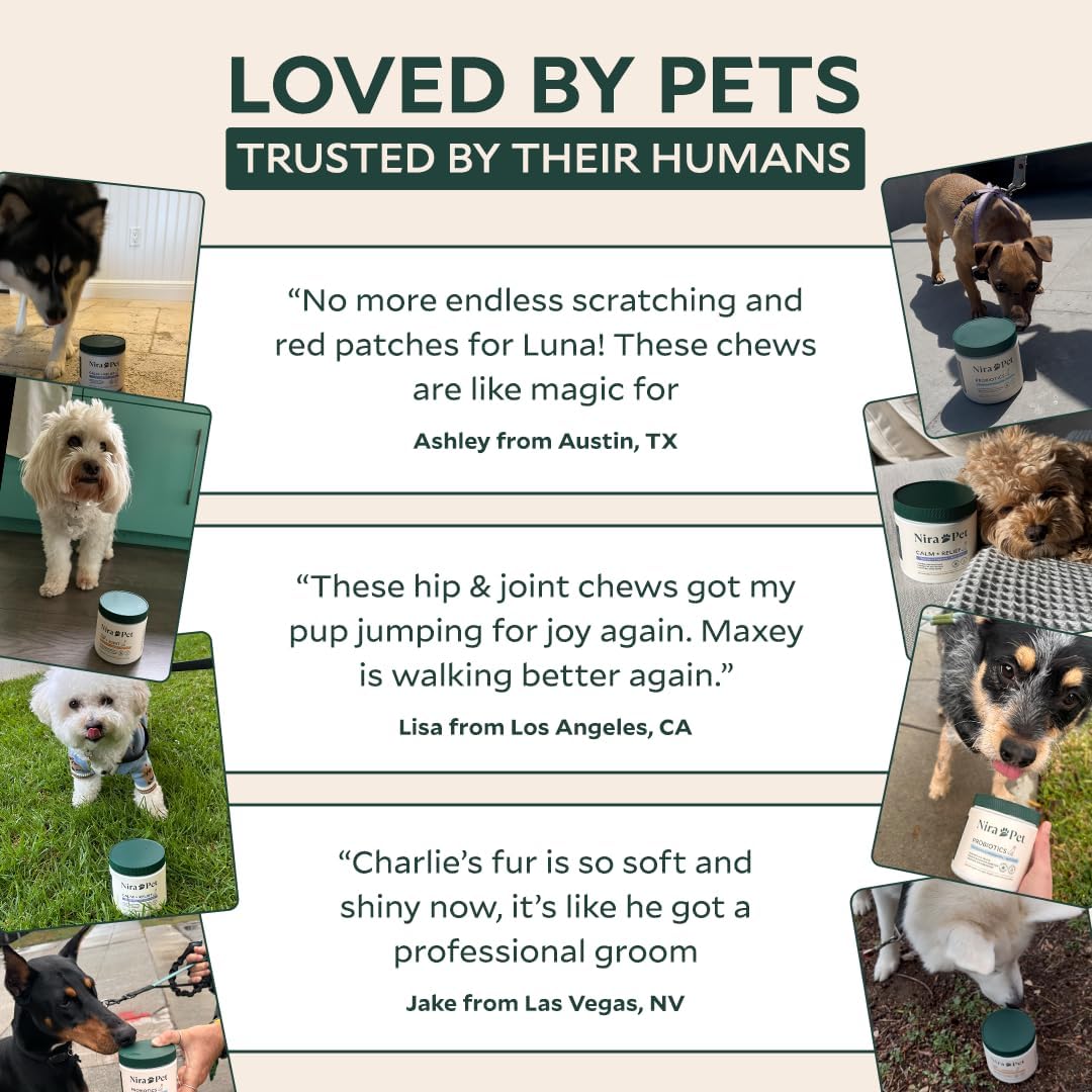 Loved by dogs
