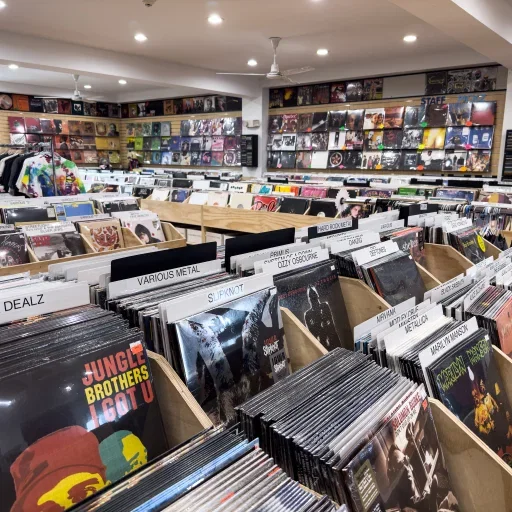 The Vinyl Experience: Why Music Enthusiasts Can&rsquo;t Live Without It
