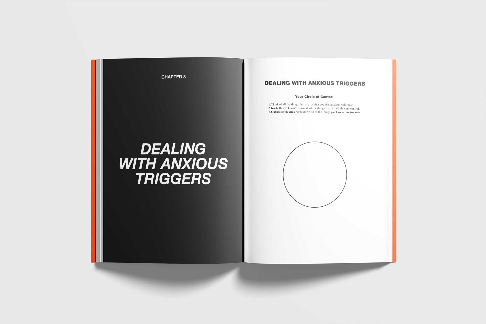 Publisher preview of the Circle of Control exercise, with instructions and space to write.