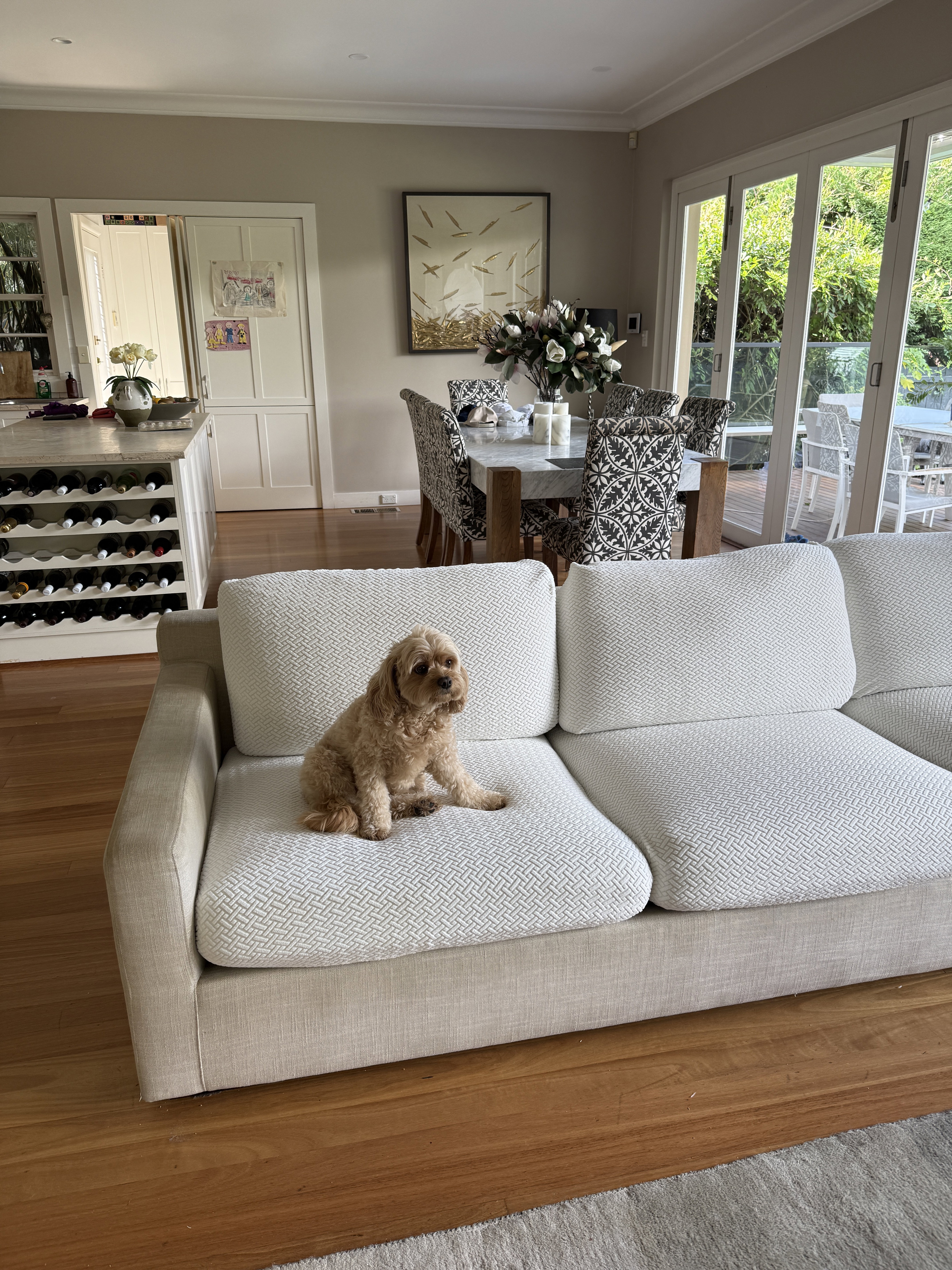 A customer’s couch with a CouchCoats cover, shared by @little.polly.puppy