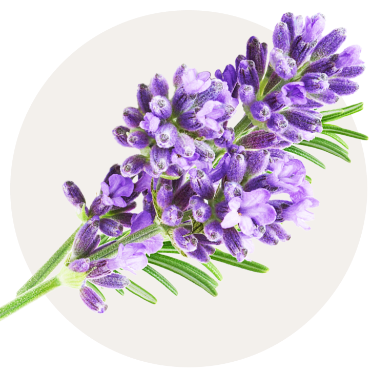 Oana Green | Natuurlijke slaapmiddelen | Ingredient