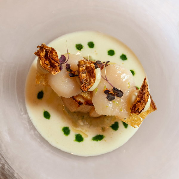 Coquilles op een romige saus met olijfolie