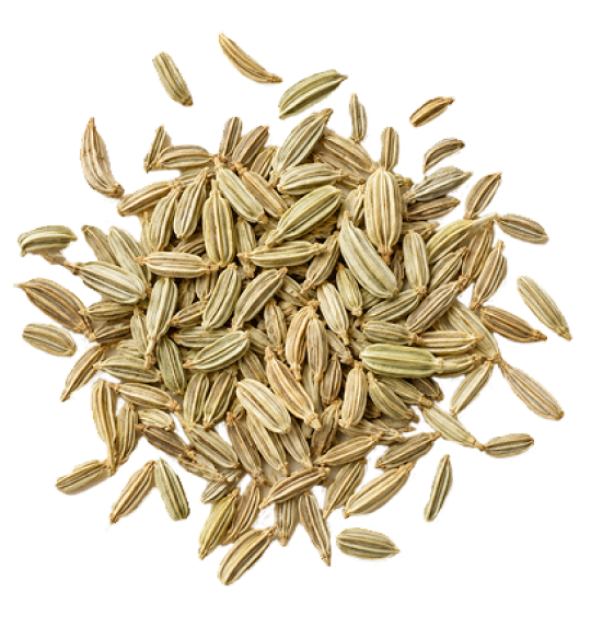 Fennel Seed