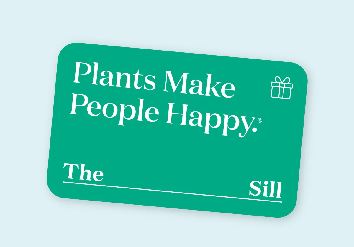 Green The Sill gift card reading 'Plants Make People Happy' on a pale blue background