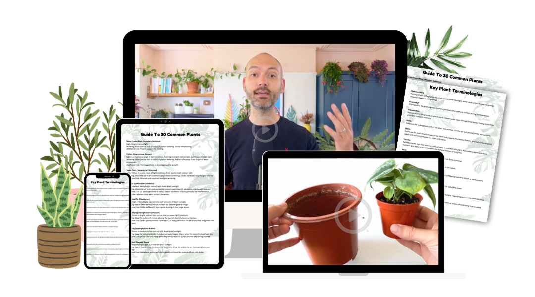 Houseplant SOS Masterclass video lessons and plant care guides shown on desktop, tablet, laptop and phone