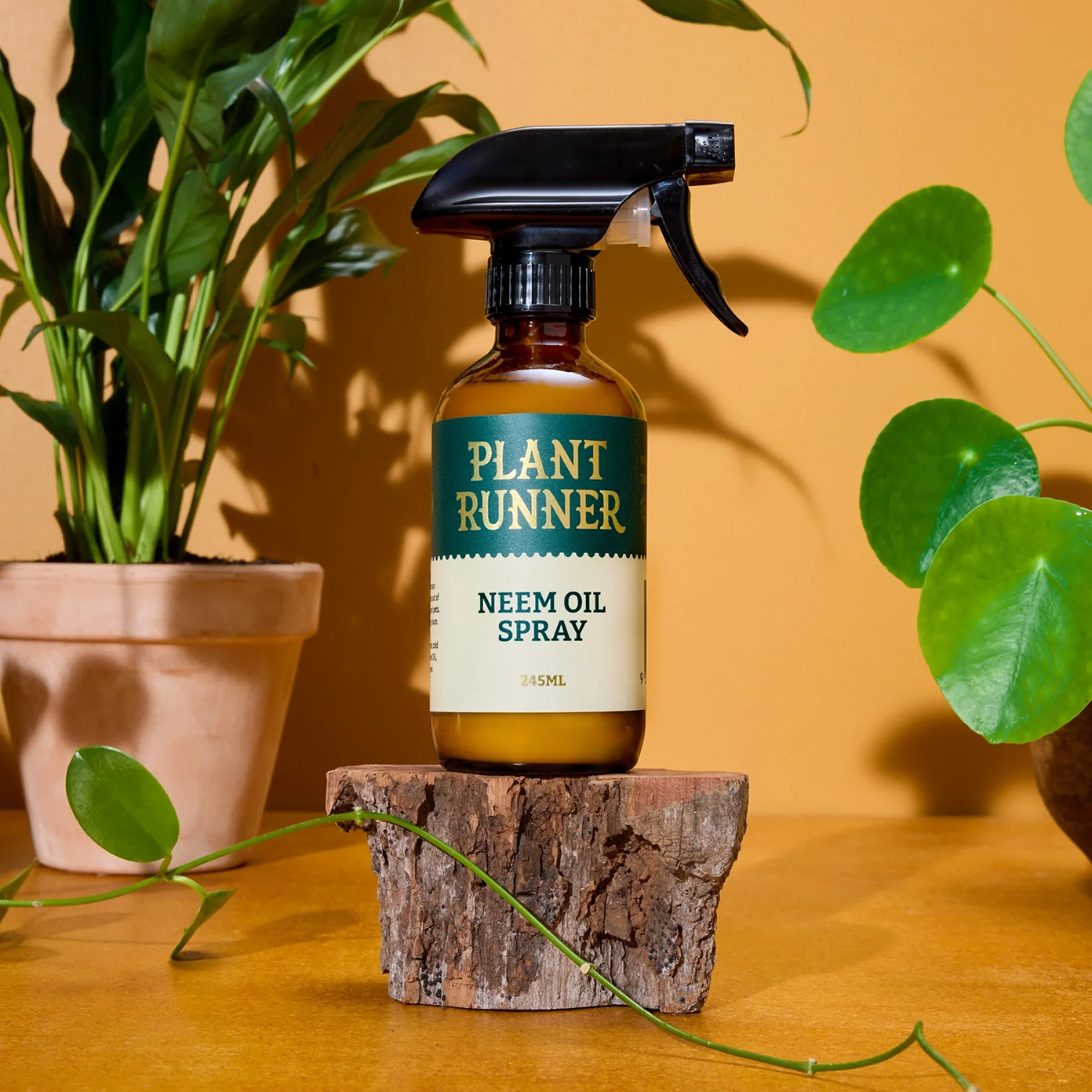 Plant Runner Neem Oil Spray bottle on a wooden stump between houseplants