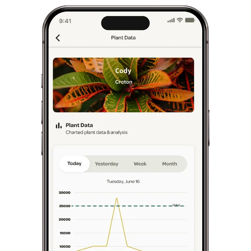 Willow app on a phone showing charted plant data for a croton