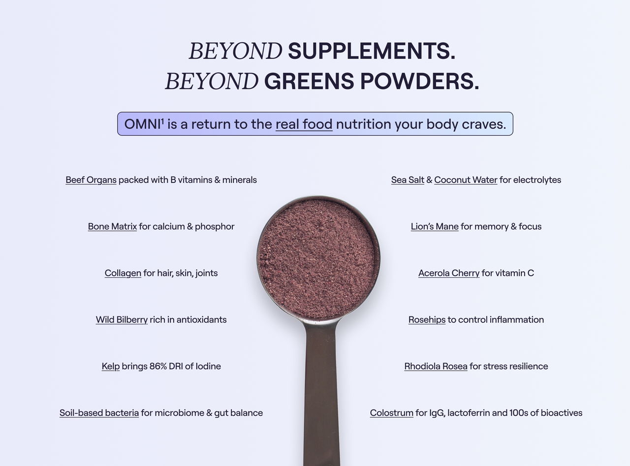 OMNI¹ whole food supplement powder in a scoop, showing reddish-purple blend of grass-fed organs, colostrum, wild berries, mushrooms, and probiotics