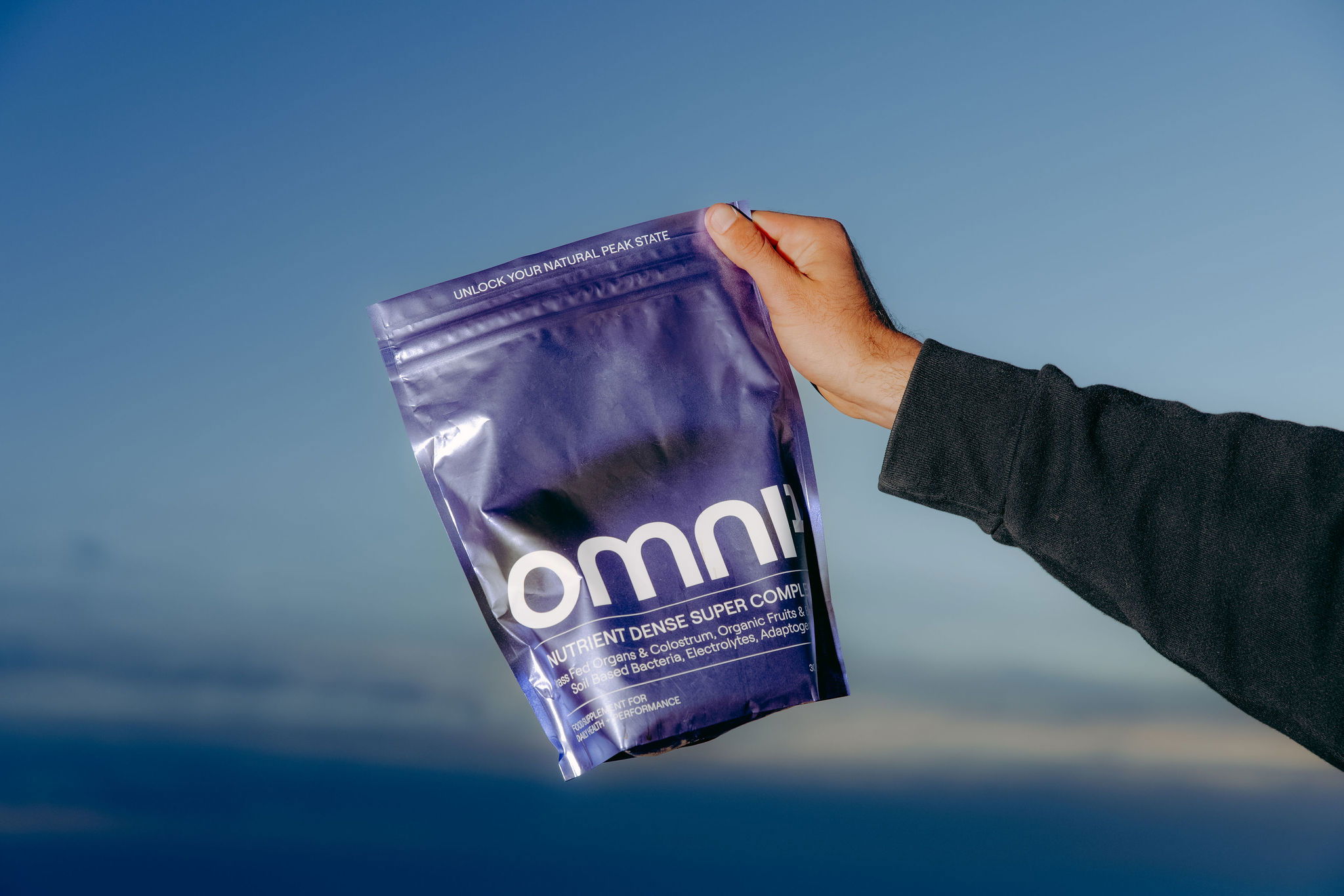 Recipes – OMNI¹