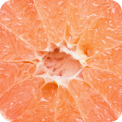 Fresh grapefruit cross-section showing pink flesh and segments
