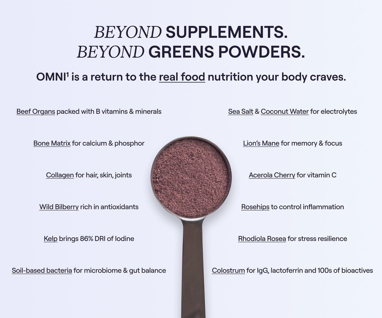 OMNI¹ whole food supplement powder in a scoop, showing reddish-purple blend of grass-fed organs, colostrum, wild berries, mushrooms, and probiotics