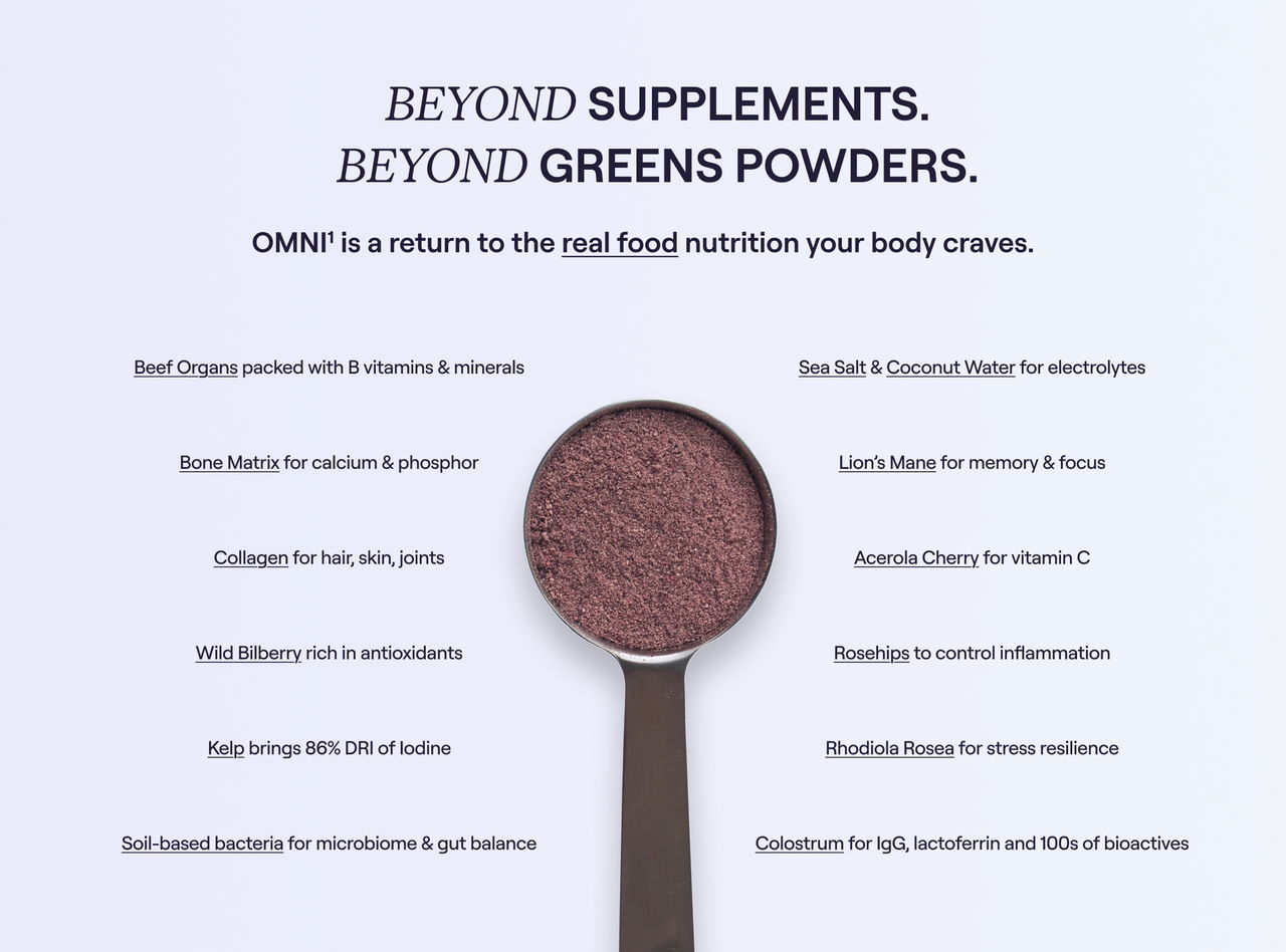 OMNI¹ whole food supplement powder in a scoop, showing reddish-purple blend of grass-fed organs, colostrum, wild berries, mushrooms, and probiotics