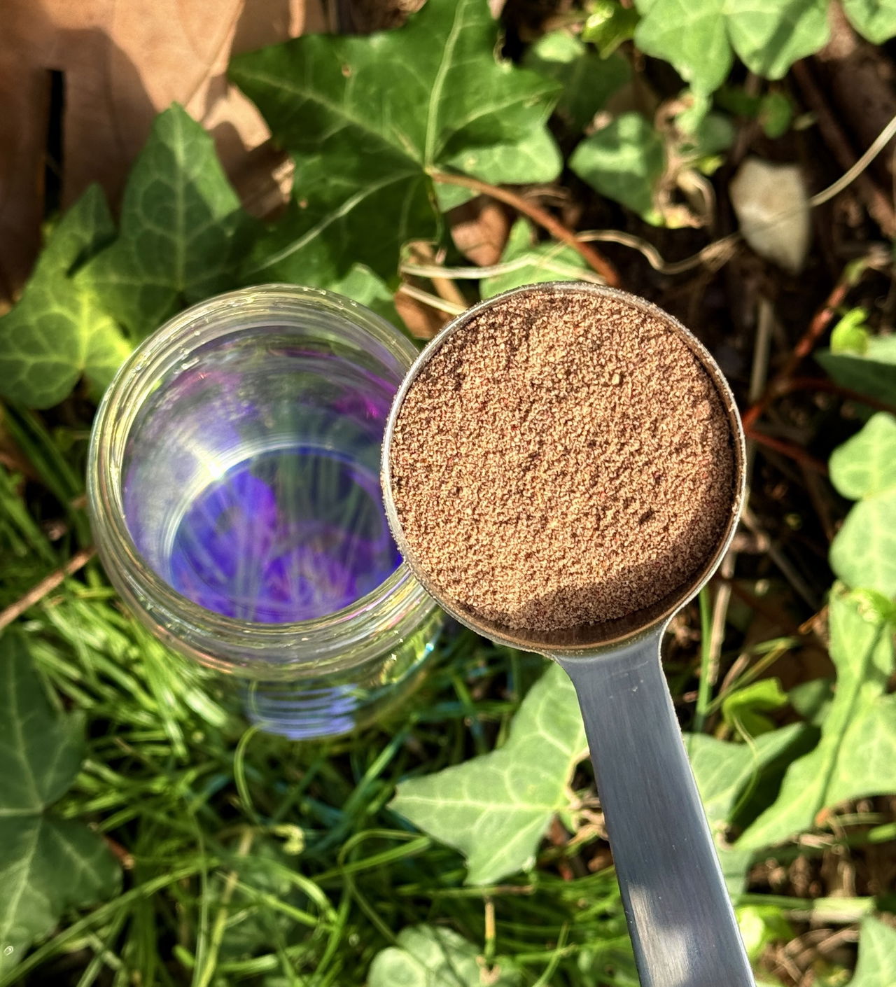 A hand holding a scoop of brown reddish powder over a clear glass bottle outdoors with green leaves background