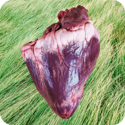 Fresh grass-fed beef heart placed on a bed of green grass.
