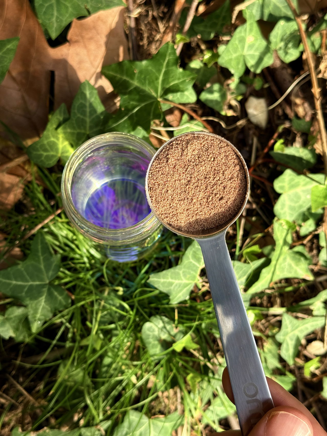 A hand holding a scoop of brown reddish powder over a clear glass bottle outdoors with green leaves background