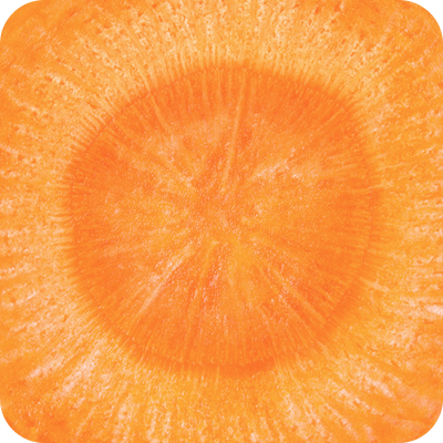 Close-up of the bright orange center of a carrot slice.