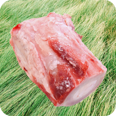 Raw beef bone with marrow on green grass background.