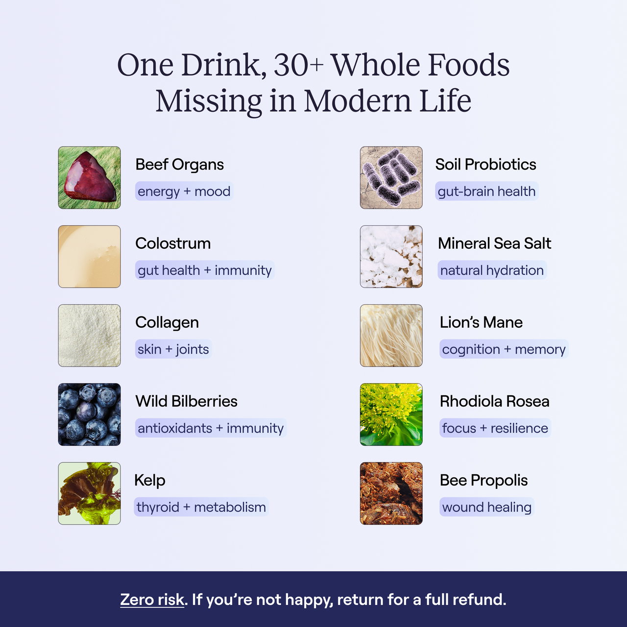 Images of 10 whole foods with benefits like beef organs, colostrum, collagen, wild berries, kelp, soil probiotics, mineral salt, lion's mane, rhodiola rosea, and bee propolis.