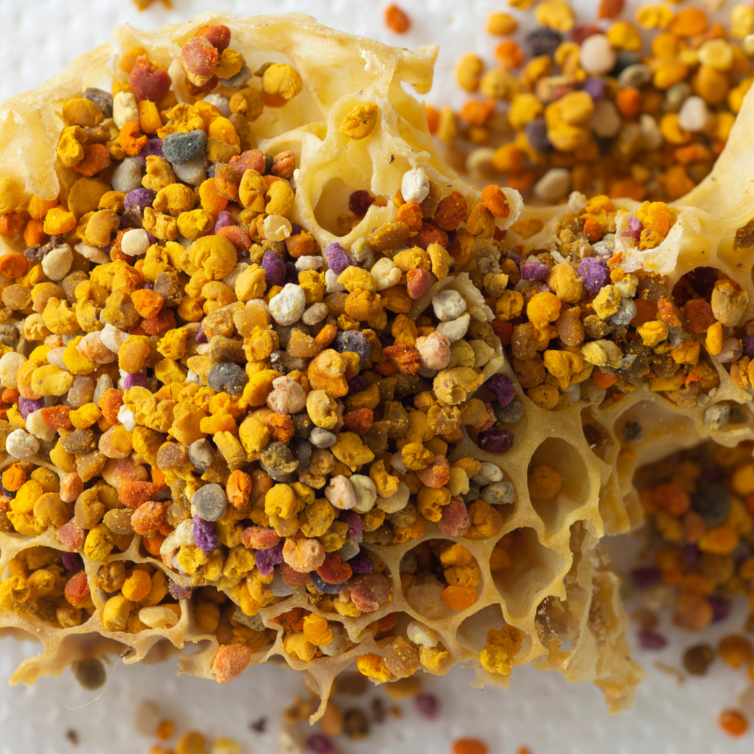 Close-up of colorful bee pollen granules on a honeycomb piece.