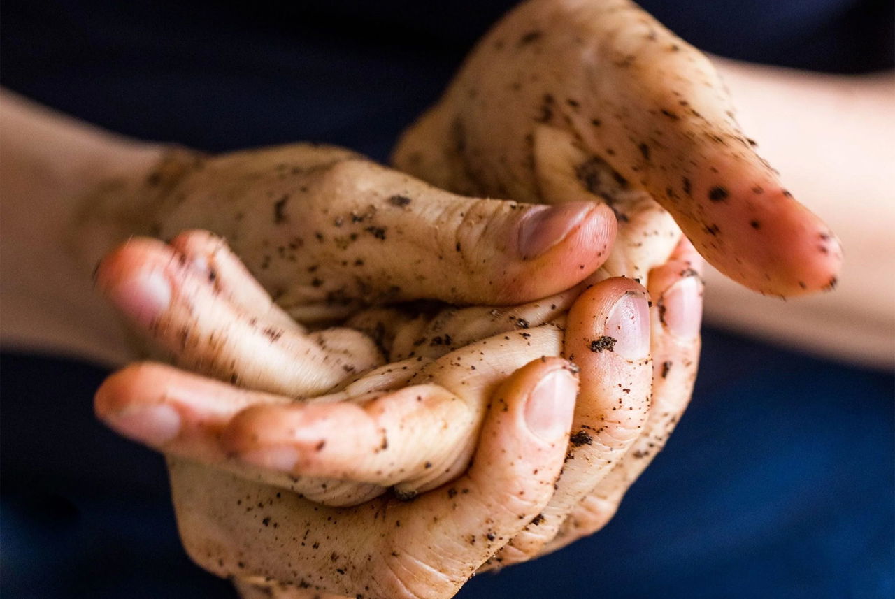 Mani che applicano fondi di caffè sulla pelle per creare uno scrub naturale ed ecologico.