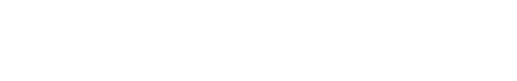 LEISHAPE