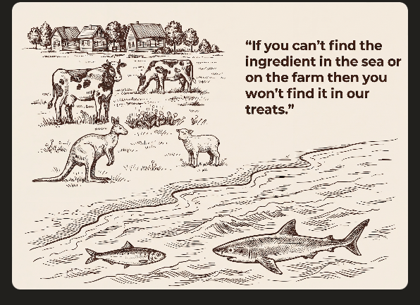 Engraved illustration of cows, a kangaroo and a lamb on a farm, above a sea with a sardine and a shark swimming