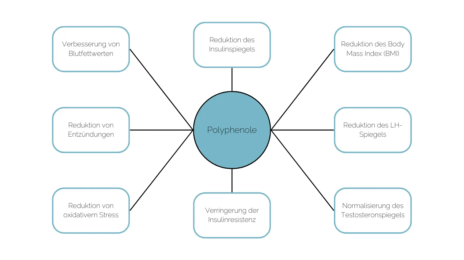 Flussdiagramm zur Veranschaulichung der Vorteile von Polyphenolen: reduziert Entzündungen, Insulin und oxidativen Stress.