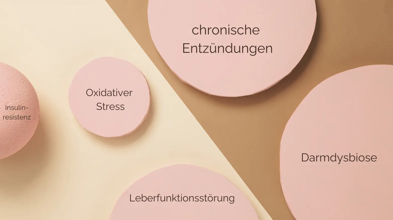 Pink circles with text: insulin resistance, oxidative stress, chronic inflammation, liver dysfunction, intestinal dysbiosis.