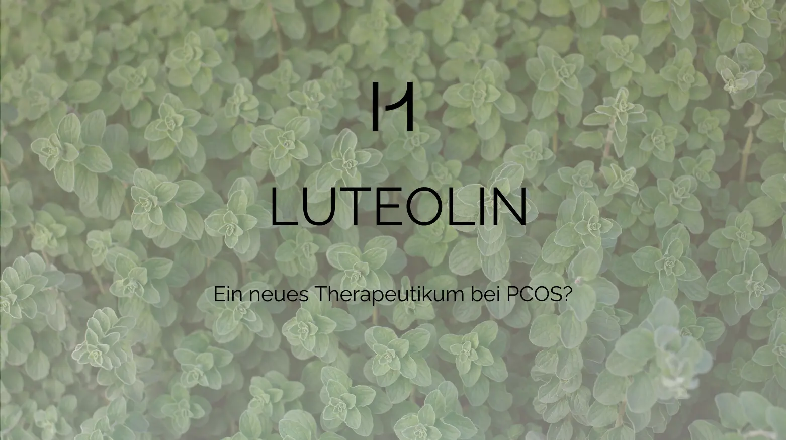 Text „LUTEOLIN; Ein neues Therapeutikum bei PCOS?“ über einer Nahaufnahme von grünem Laub.