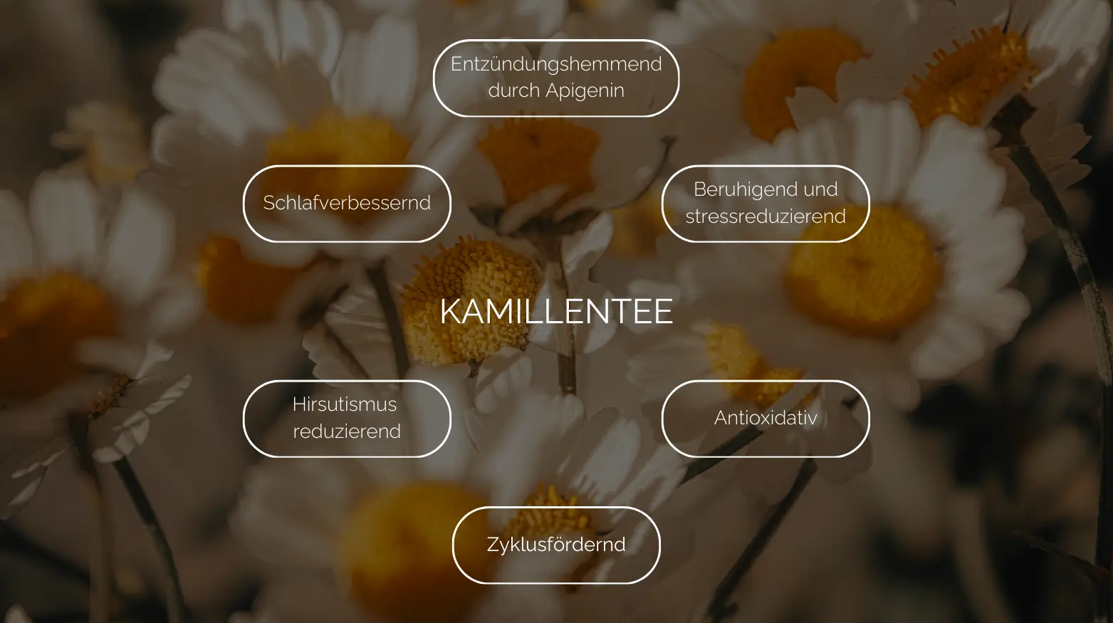 Ein Hintergrund mit Kamillenblüten und Textblasen, die die gesundheitlichen Vorteile der Kamille hervorheben, auf Deutsch.