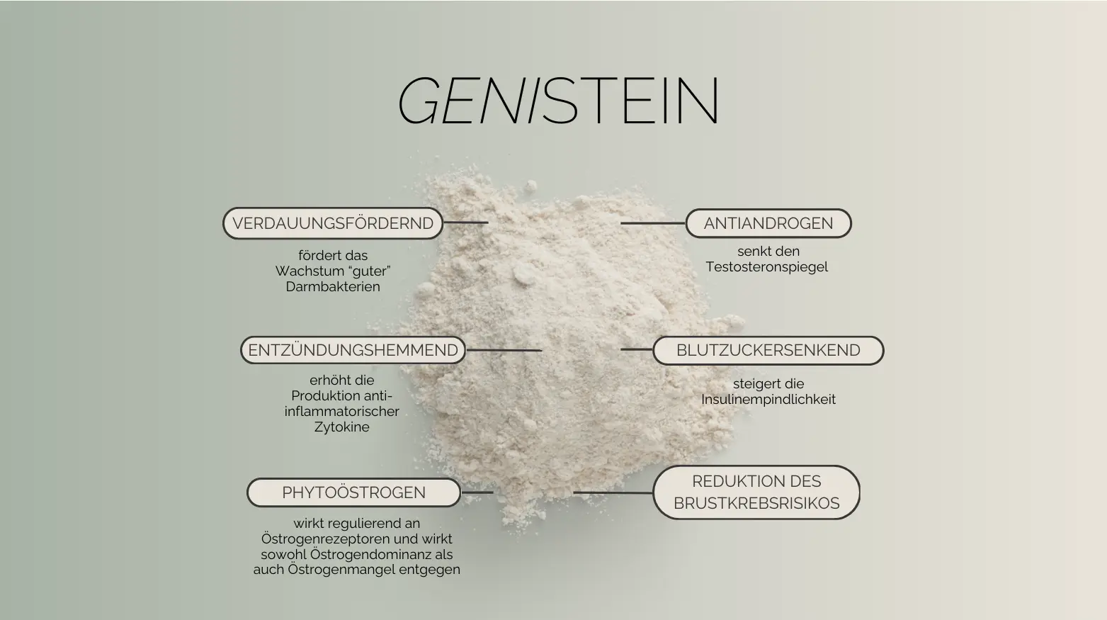 Pulver mit Text, der seine Vorteile beschreibt: Verdauungshilfe, entzündungshemmen, antiandrogen, blutzuckersenkend, Phytoöstrogen und reduziert das Brustkrebsrisiko.