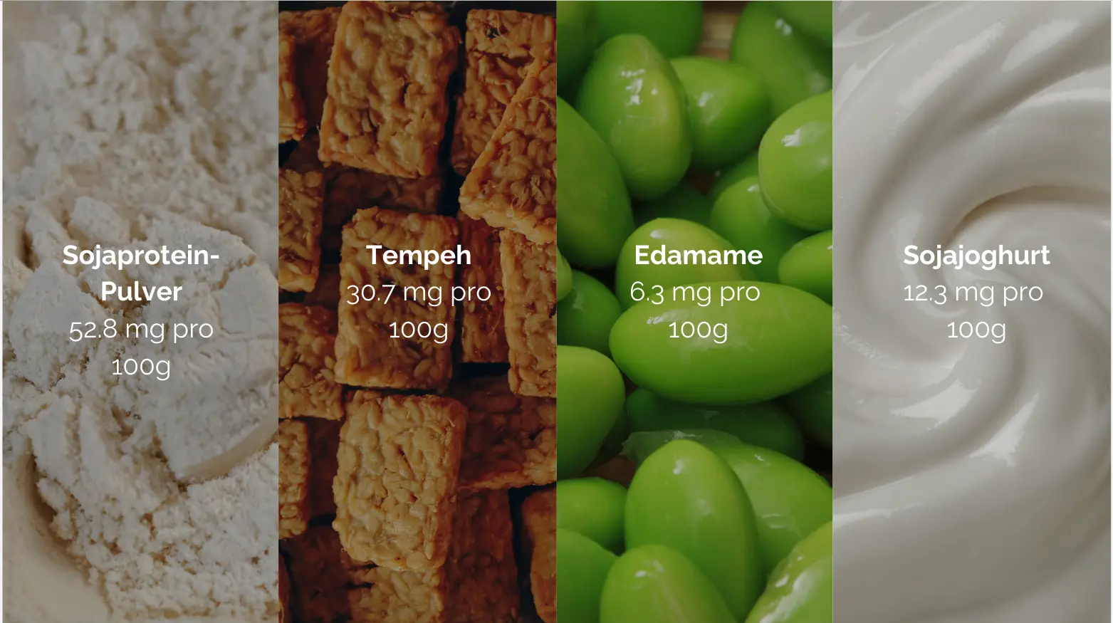 Sojaprodukte im Vergleich: Sojaproteinpulver, Tempeh, Edamame und Sojajoghurt mit Eisengehalt.