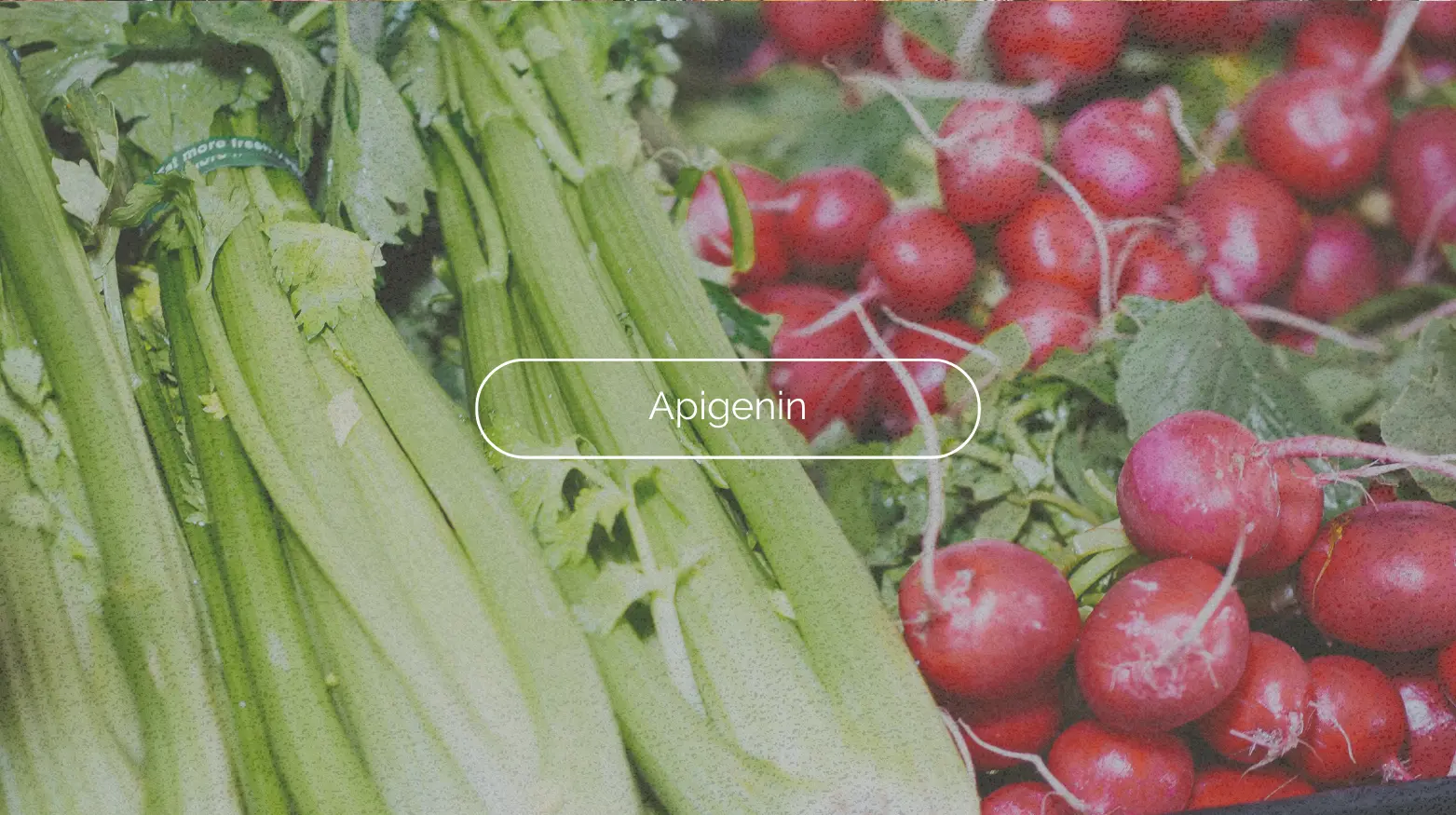 Frische Selleriestangen und Radieschensträuße auf einem Markt, mit dem Wort „Apigenin“ überlagert.