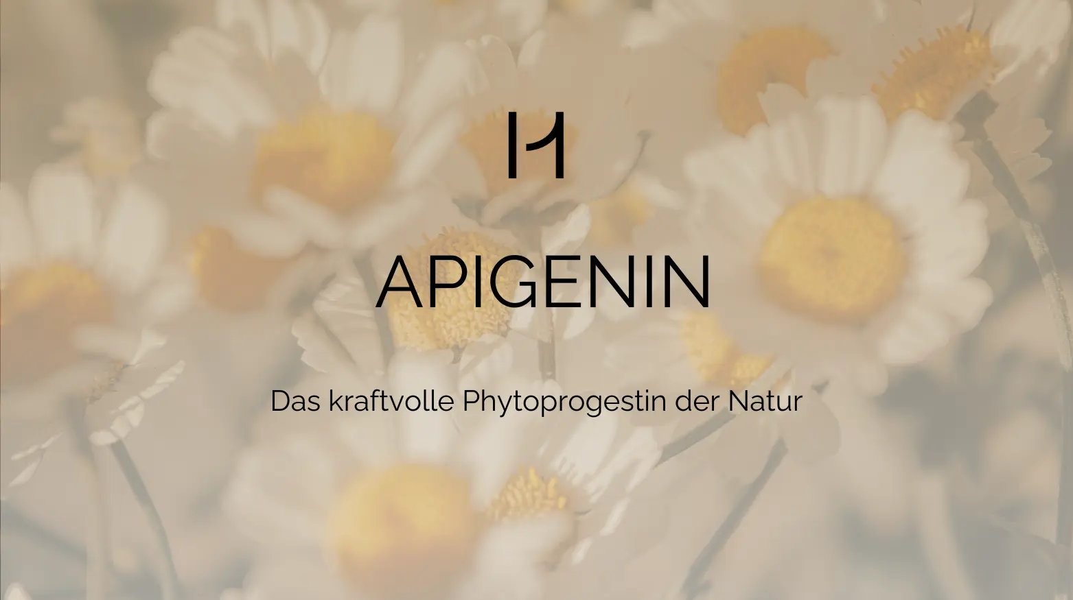 Text 'Apigenin: Das kraftvolle Phytoprogestin der Natur' über unscharfem Gänseblümchen-Hintergrund.“