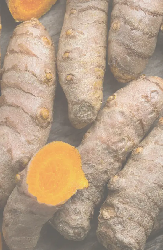 Mehrere ganze Kurkumawurzeln mit einem leuchtend orangefarbenen Schnitt auf einer dunklen Oberfläche.