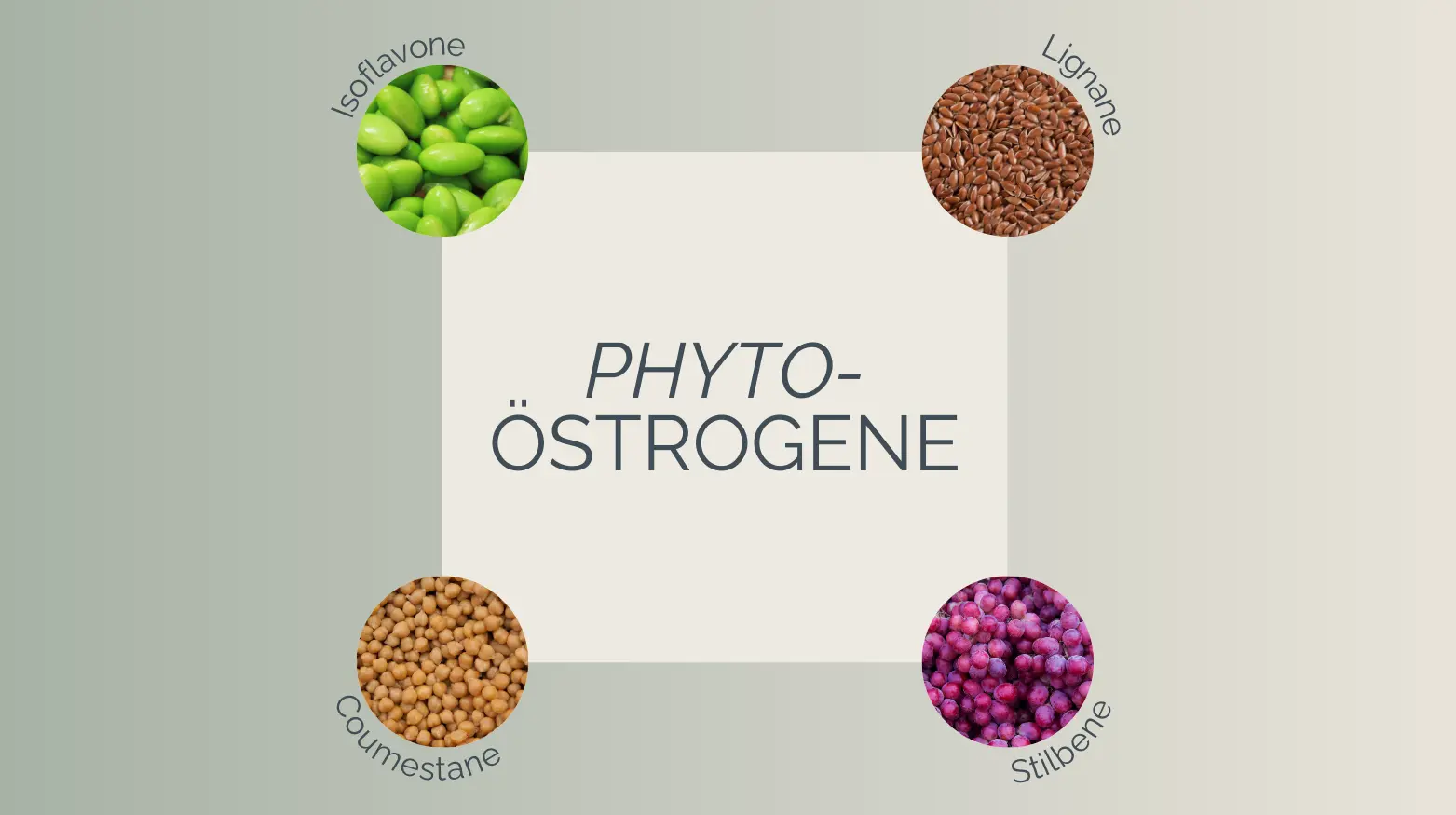 Diagram of phytoestrogens with images of isoflavones, lignans, coumestans, and stilbenes around text.