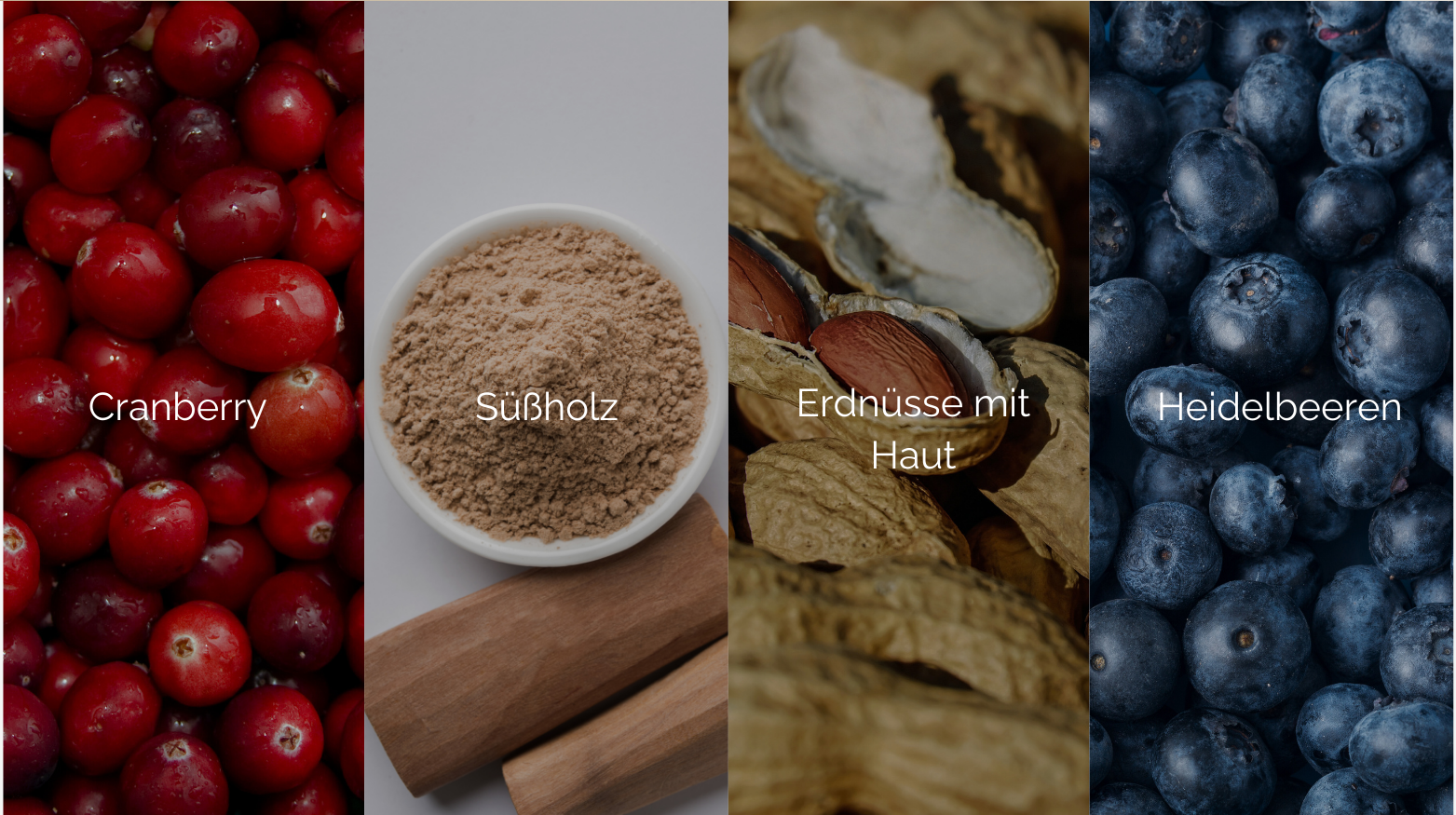 Close-up images of cranberries, licorice powder, peanuts, and blueberries with German labels.