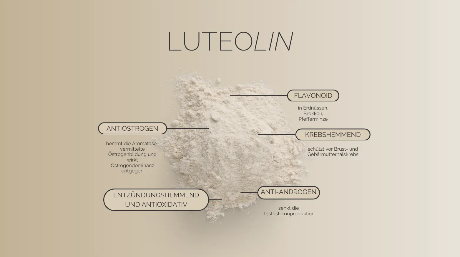 Bild von Luteolin-Pulver mit Text, der seine Eigenschaften hervorhebt: östrogenhemmend, entzündungshemmend und antioxidativ.