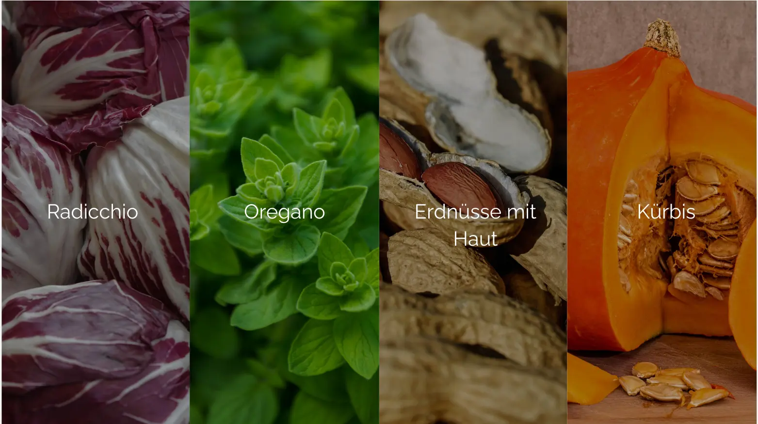 Vier Bilder: Radicchio, Oregano, Erdnüsse in der Schale und Kürbisspalten. Jeder Artikel ist mit einem Text versehen.