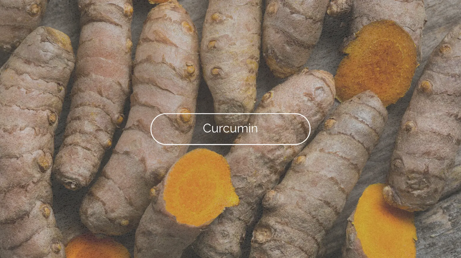 Nahaufnahme von ganzen und geschnittenen Kurkumawurzeln mit dem Text „Curcumin“ in der Mitte überlagert.