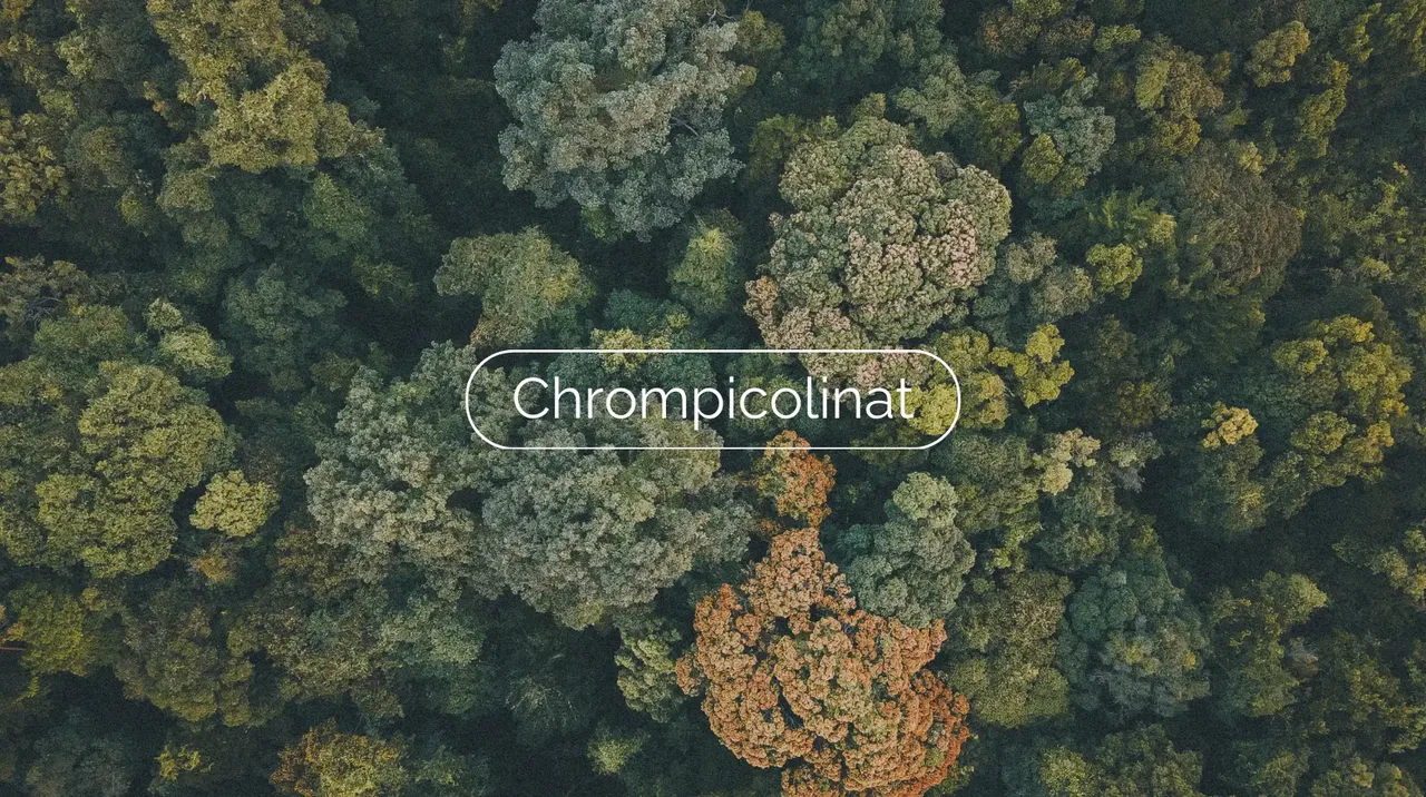 Chrompicolinat