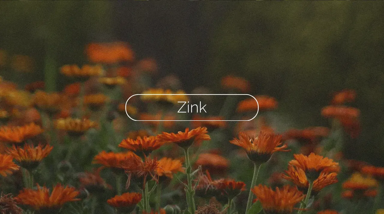 Zink