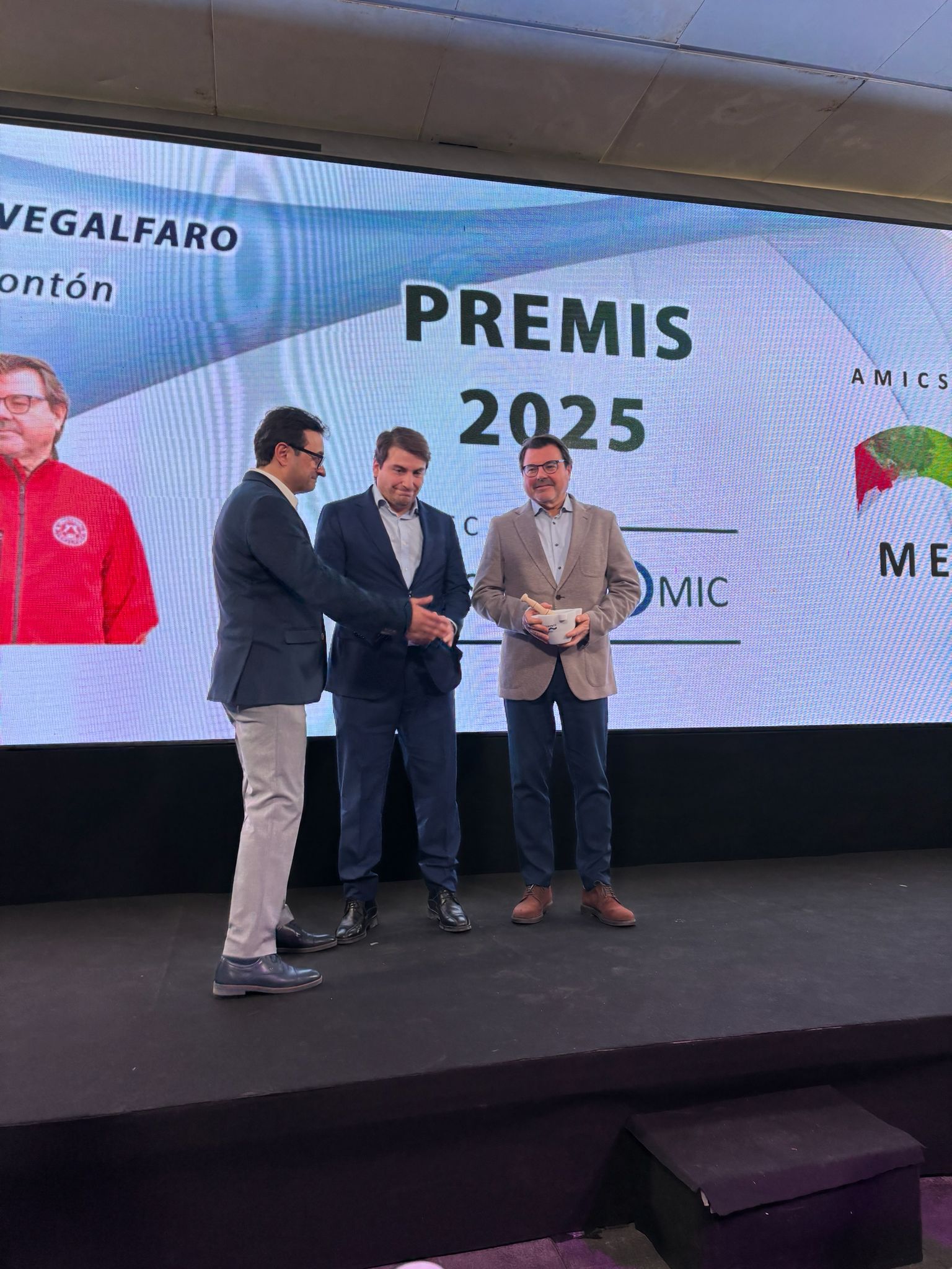 Premios Vegalfaro