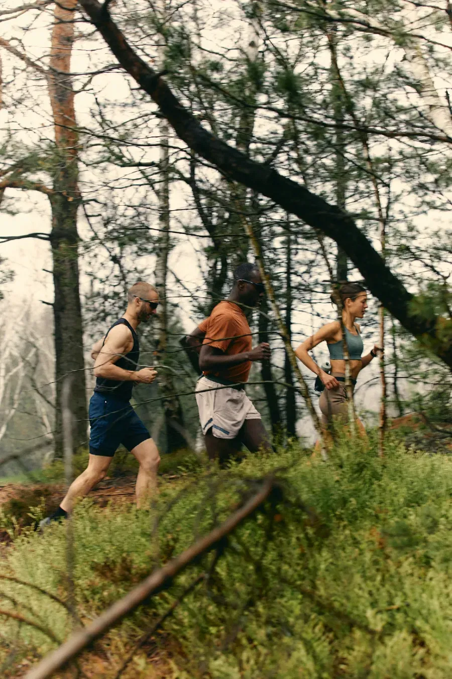 Three people jogging through a forest trail surrounded by trees and greenery.