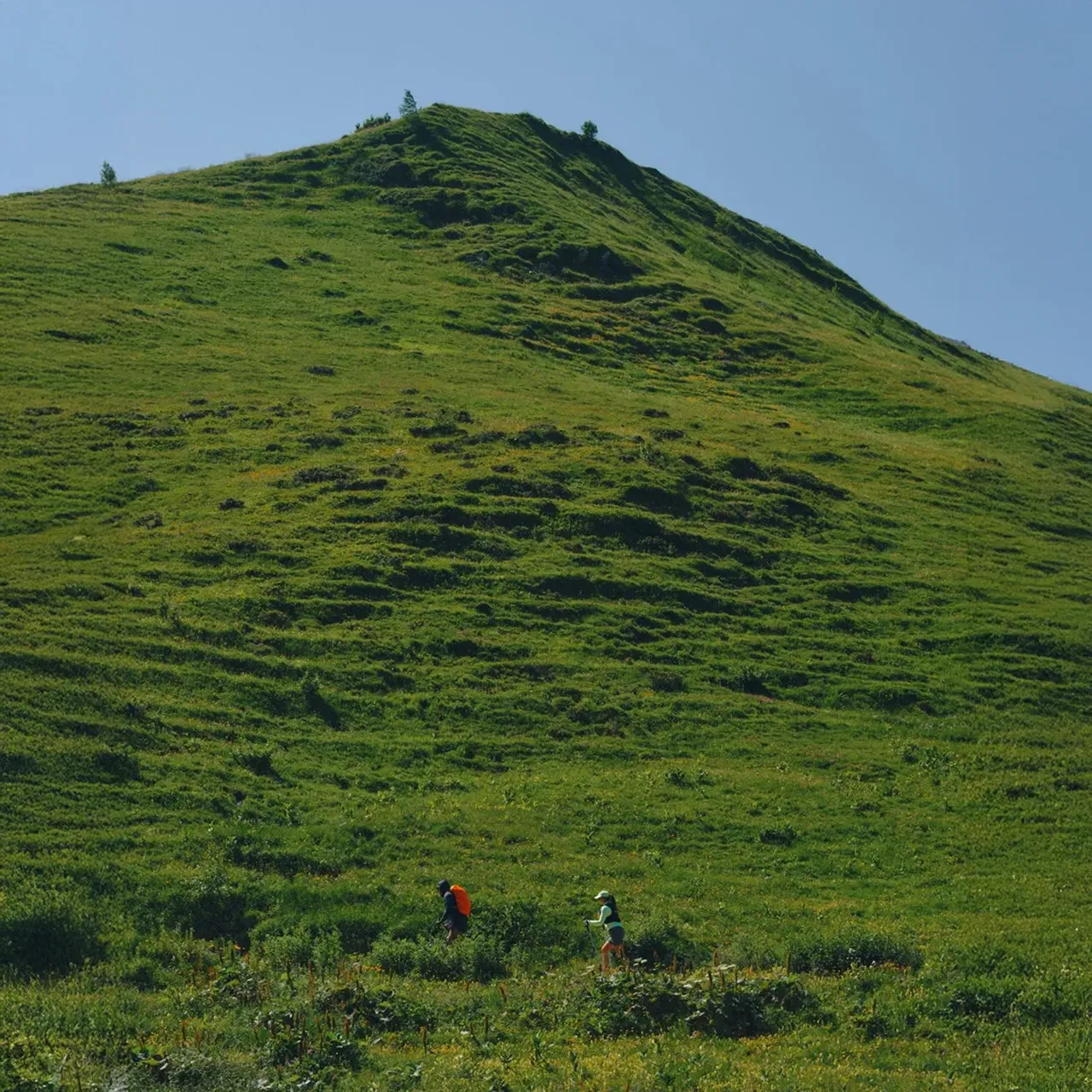 Two hikers walking on a lush green hillside under a clear blue sky.