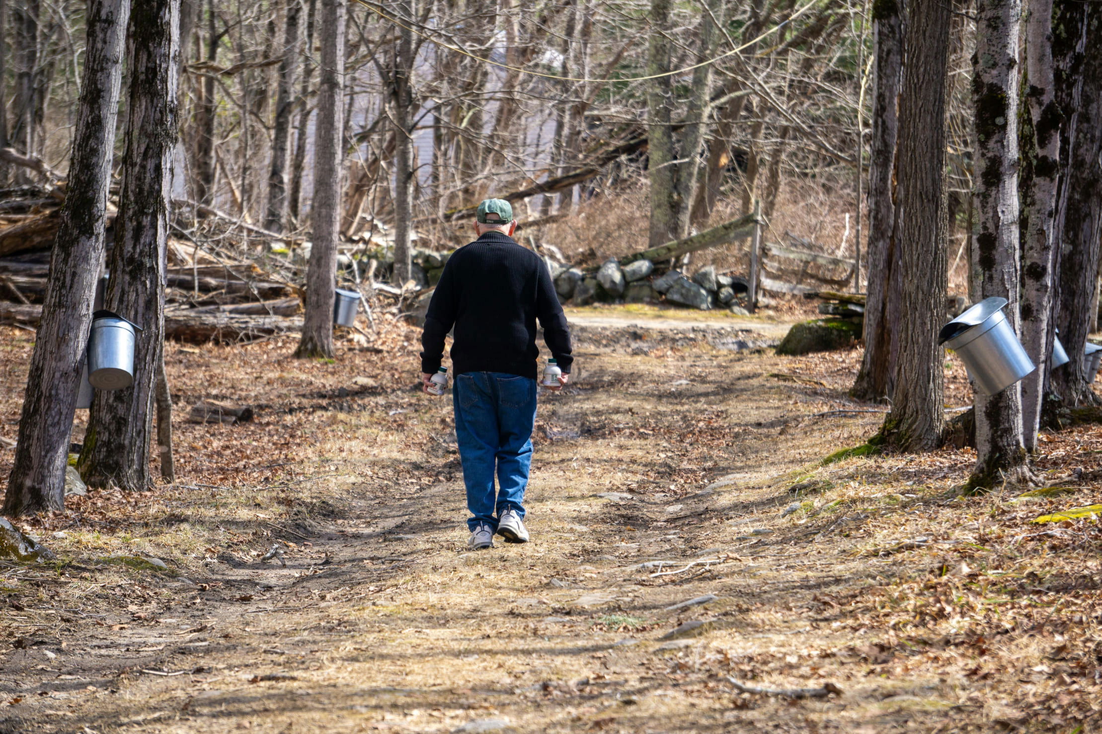 Famer walking in maple farm