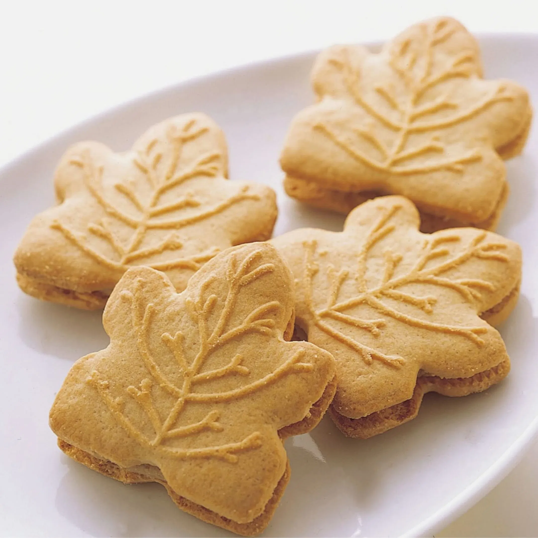 Four leaf-shaped cookies with embossed details on a white plate.