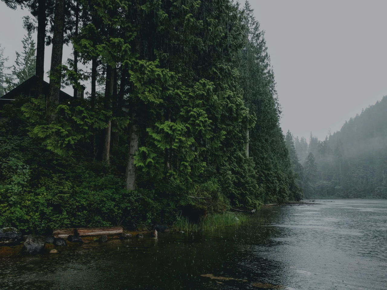 Canadian forest next to a lake with a house in the background.